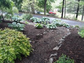 mulch2.jpg