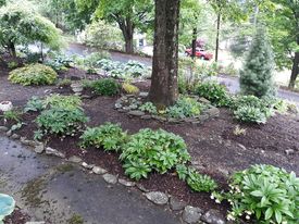 mulch3.jpg
