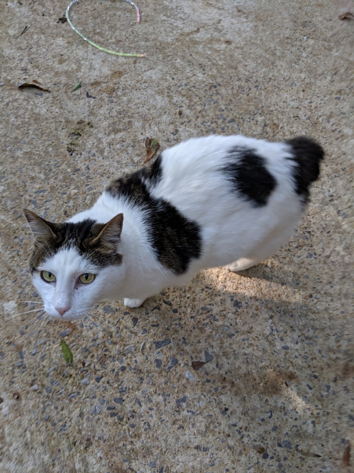 MVIMG_20190828_172425.jpg