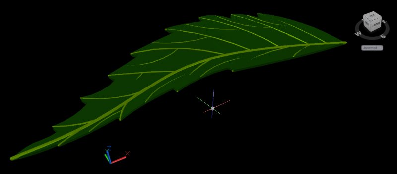 Neem leaf 2.jpg