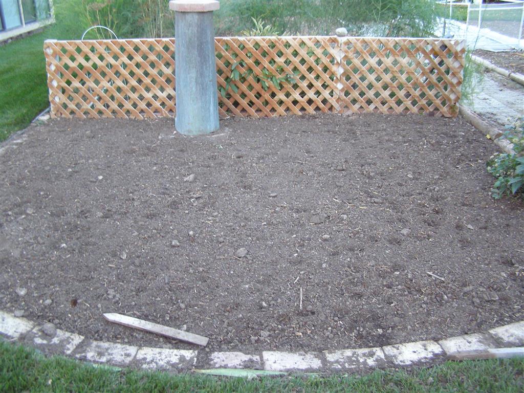 new bed 001 (Medium).JPG