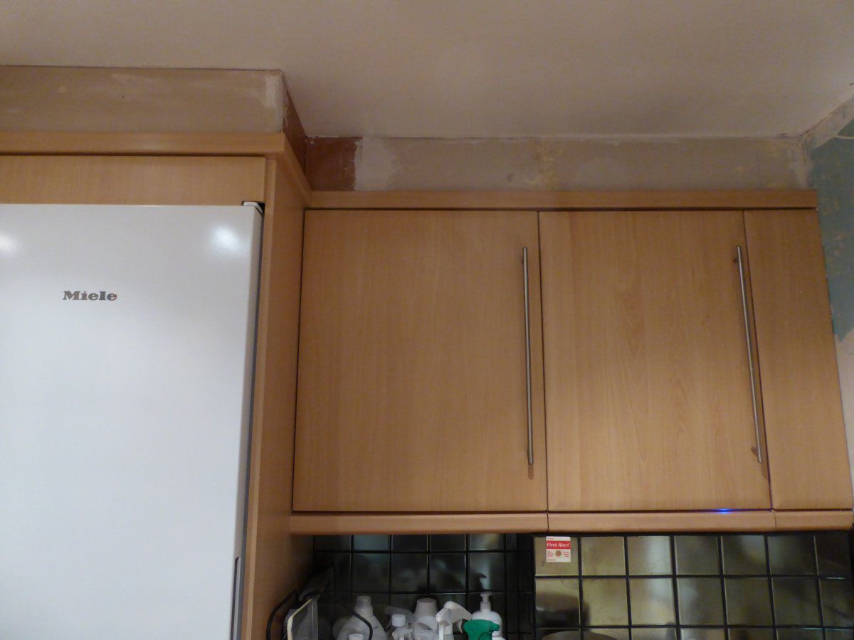 new freezer.JPG