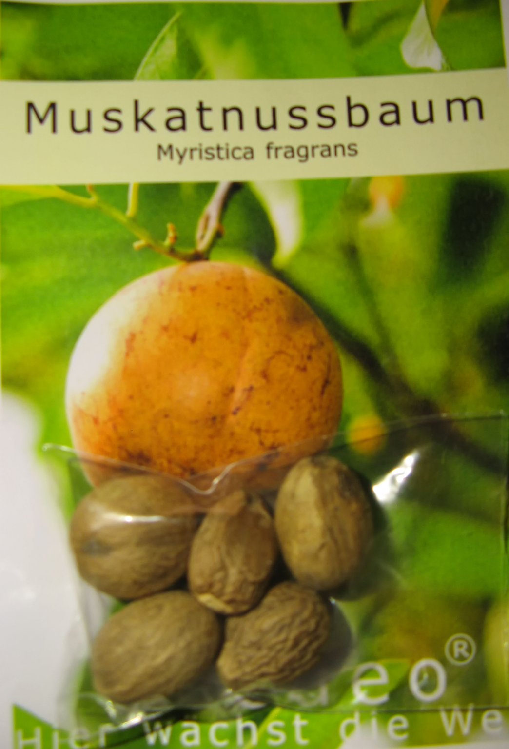 Nutmeg Seeds.JPG