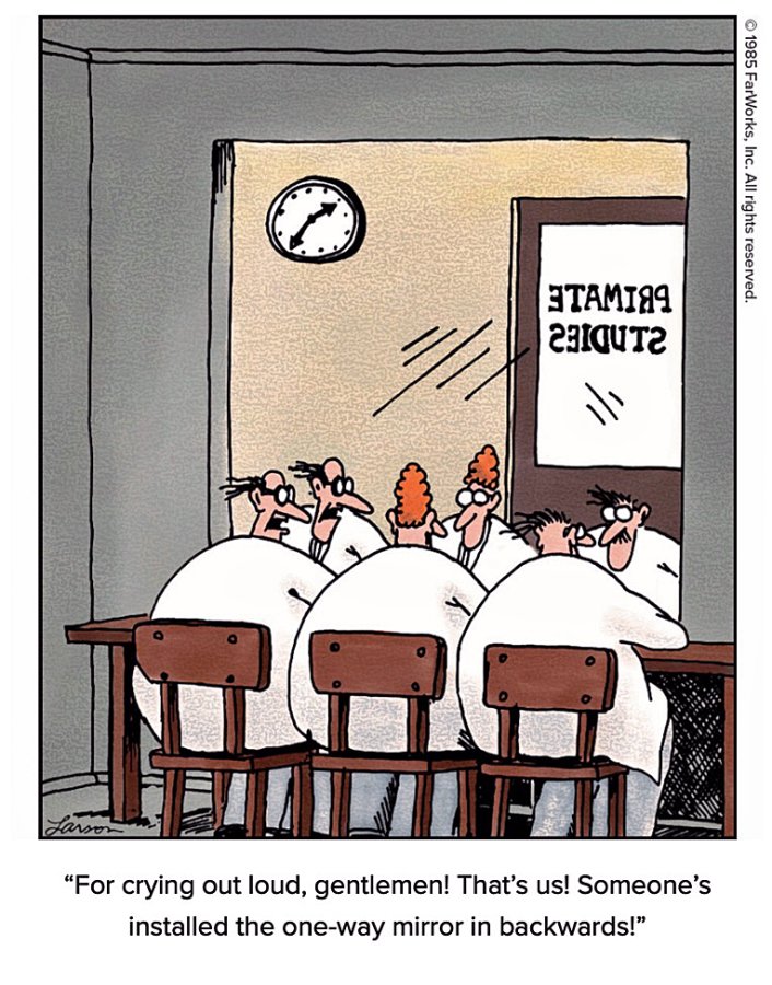 one-way mirror backwards - larson.jpg