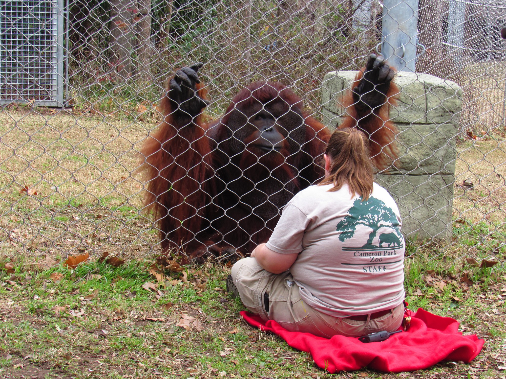 Orang training.jpg