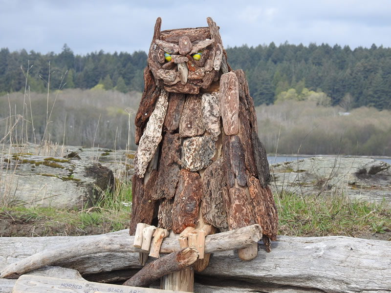 owl.jpg