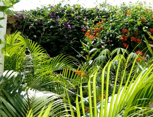 P1000715b.jpg