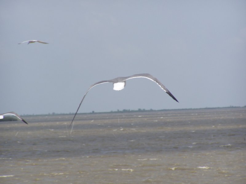P1010019.JPG