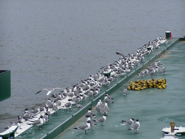 P1010038.JPG