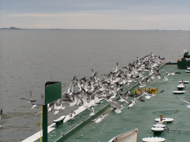 P1010040.JPG