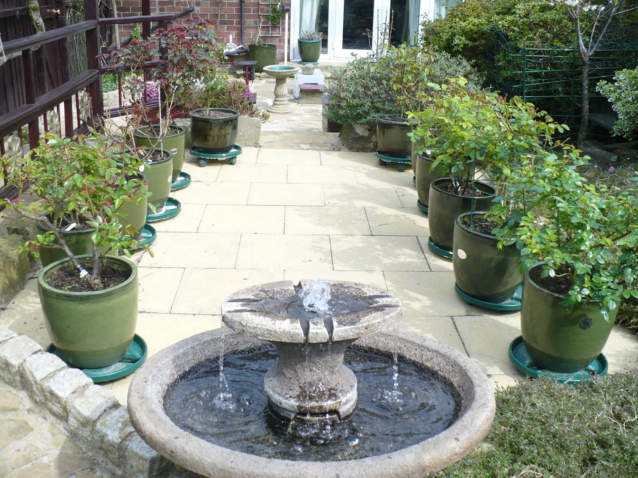 P1010126_30.jpg