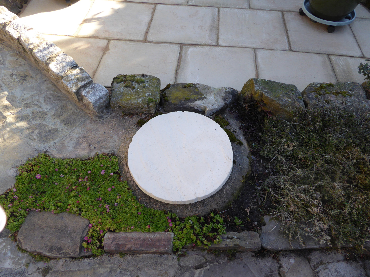 P1020543_30.jpg