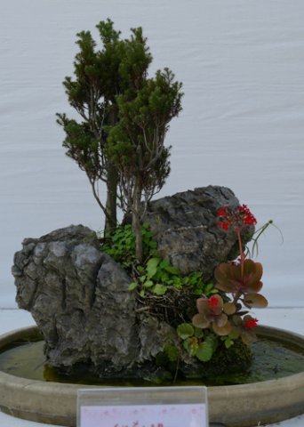 P1040194cr357x500px.jpg