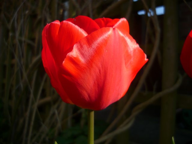 P1060198.JPG