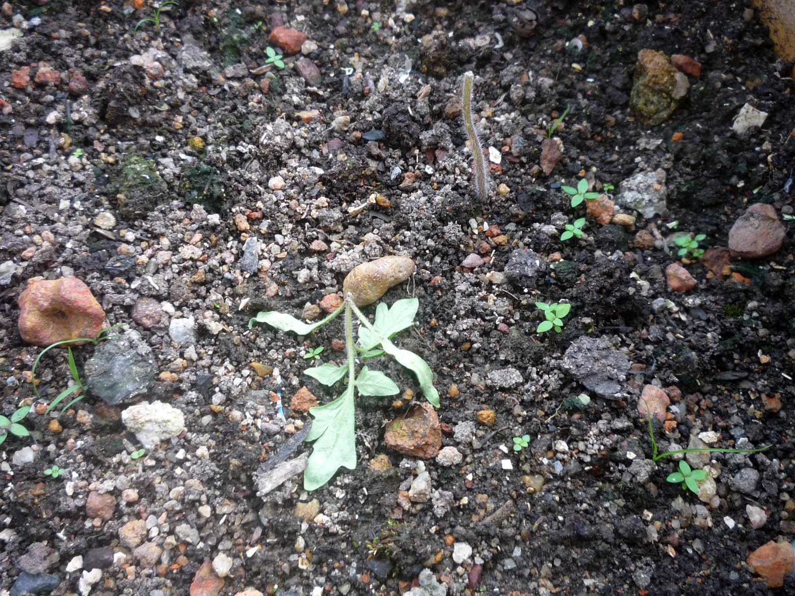P1080317.JPG