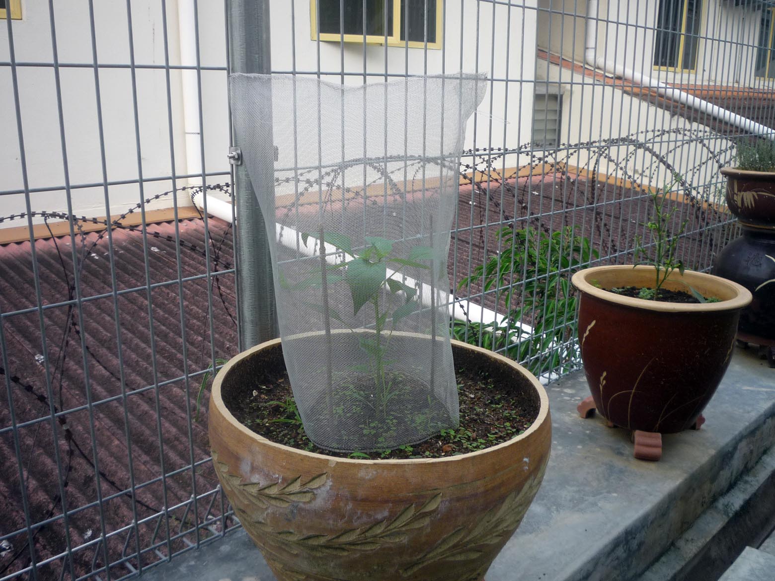P1080319.JPG