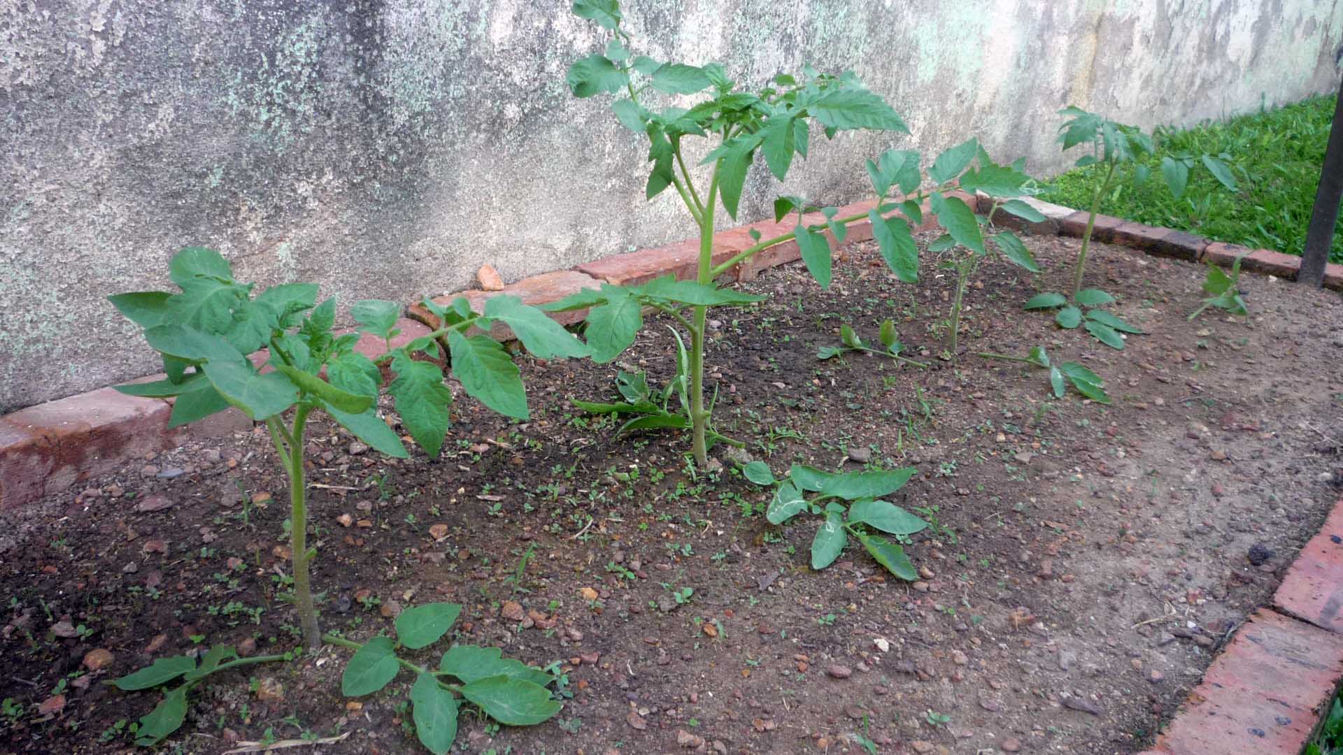 P1080406.JPG