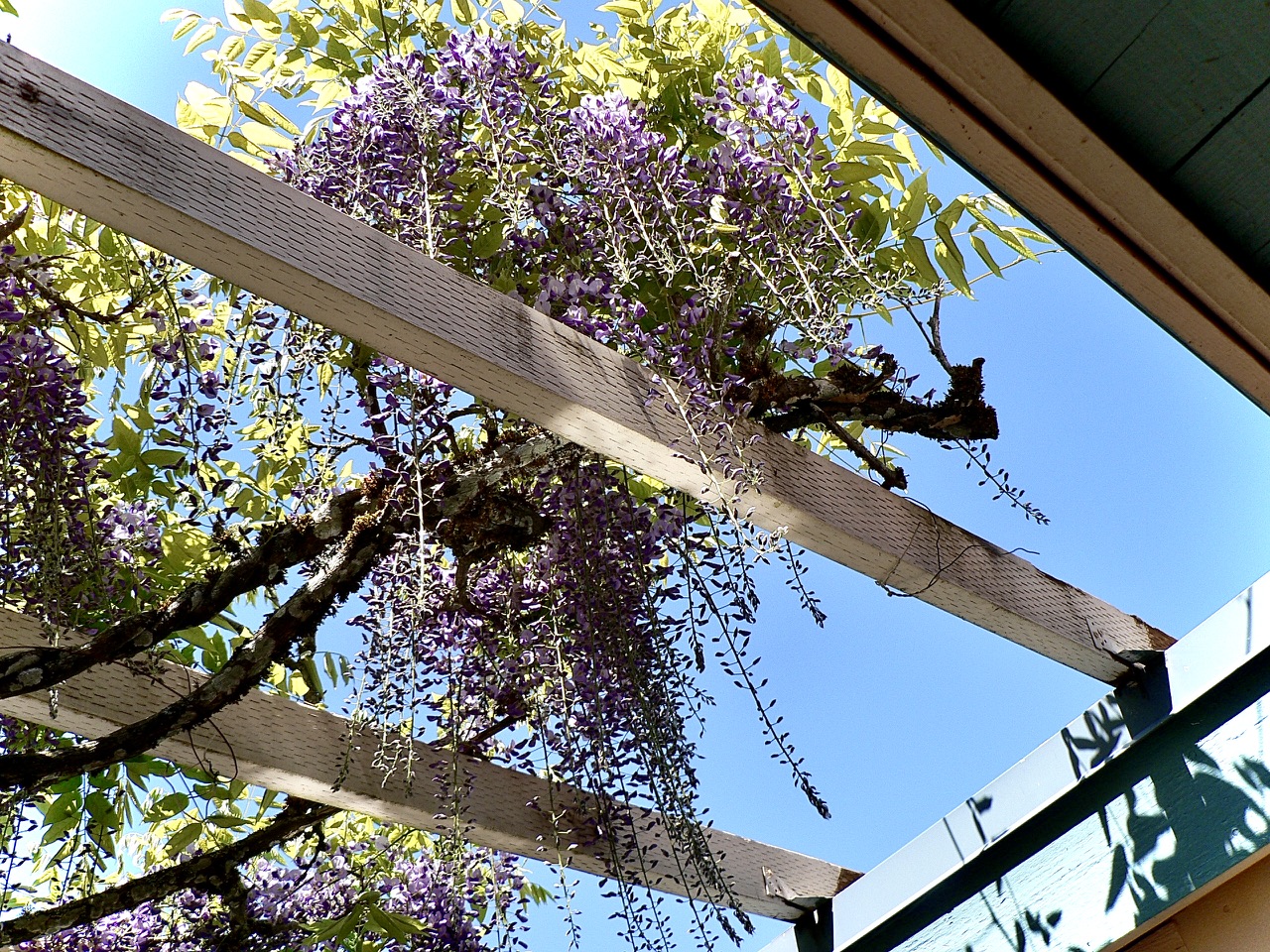P1080444.jpeg