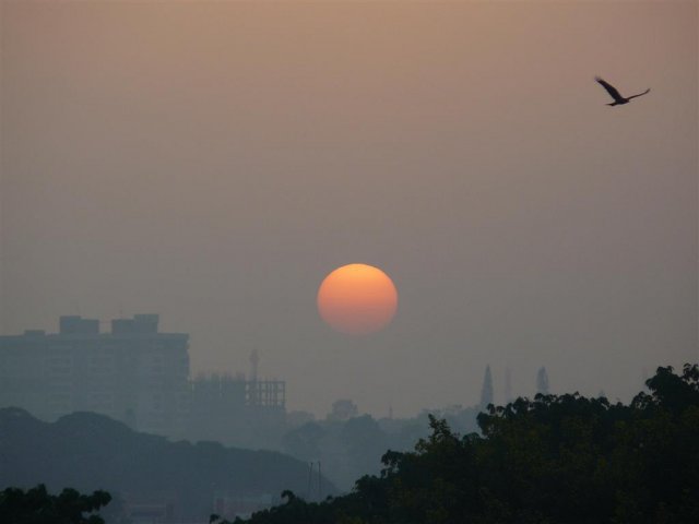 P1470575.JPG
