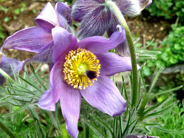 P4180082.JPG
