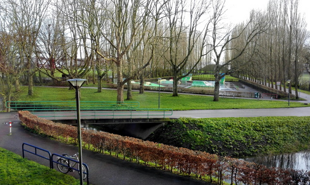 park.jpg