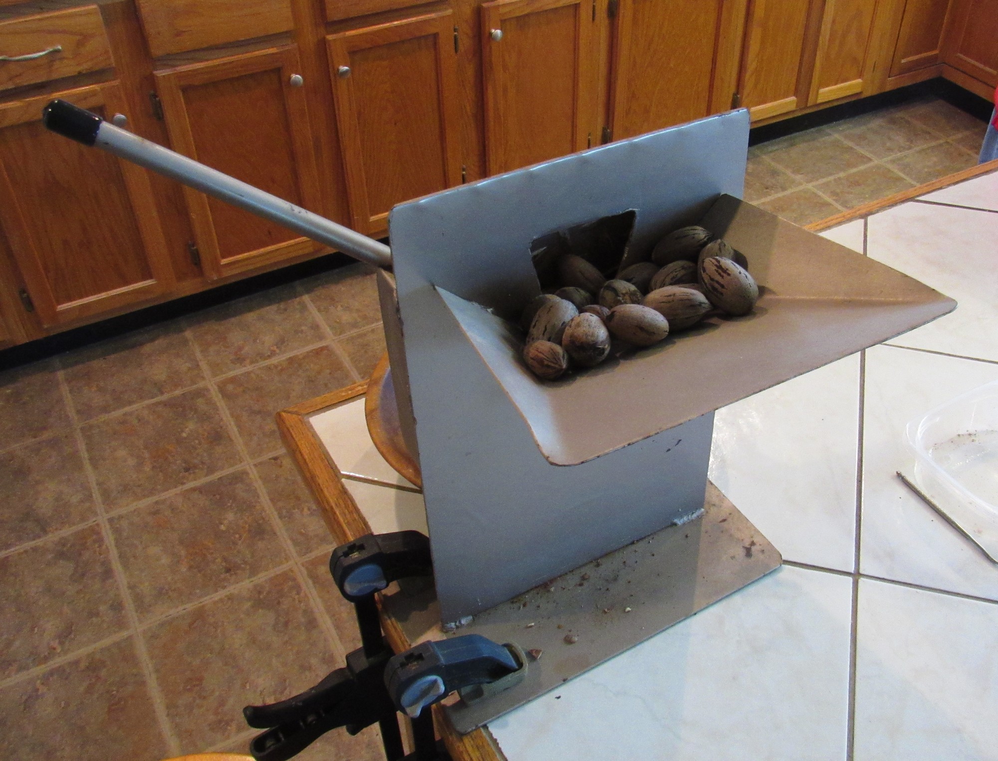 Pecans in hopper.jpg