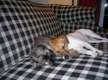 penny and tink 2.jpg