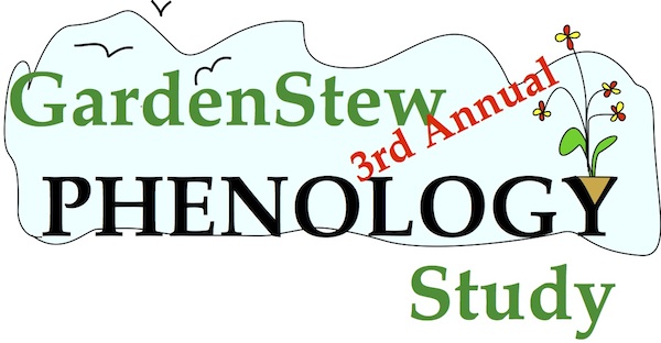 Phenology 600.jpg