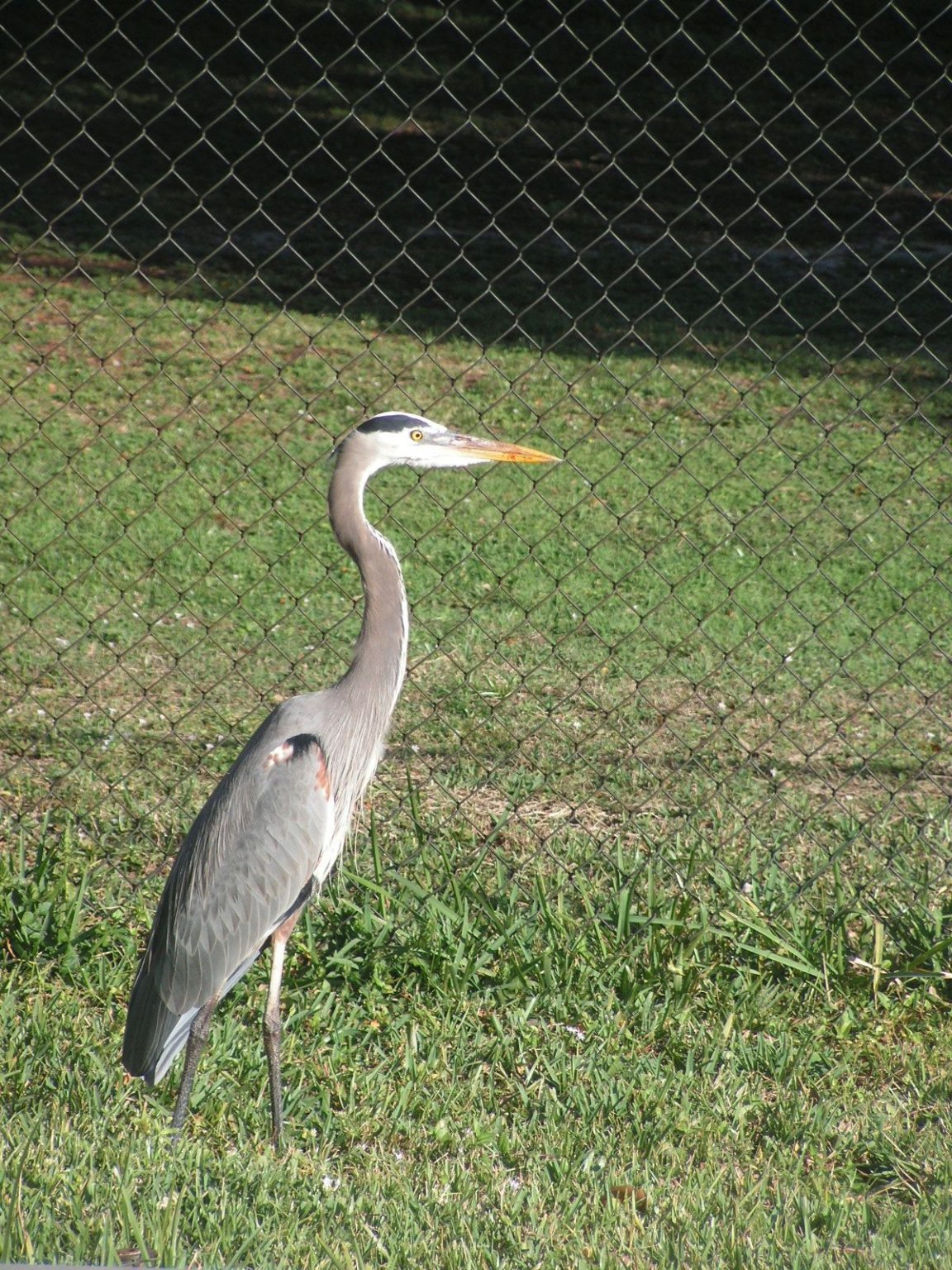 PICT0005.JPG