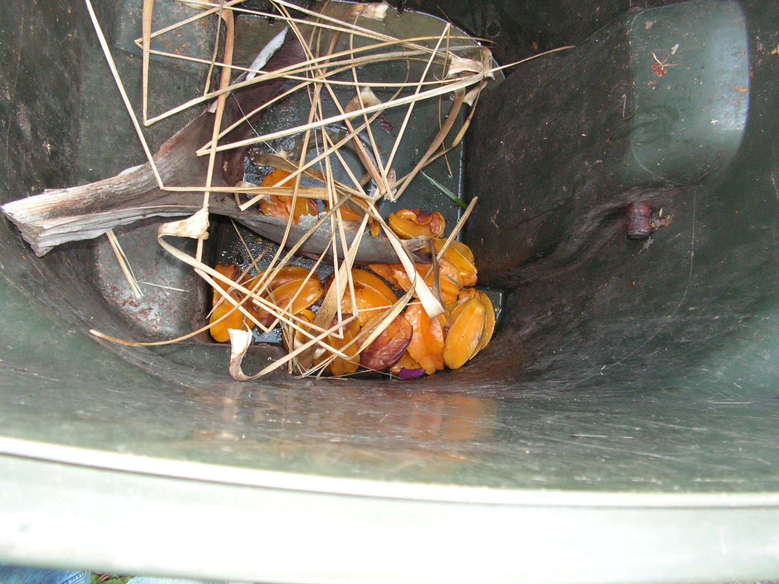 PICT0007.JPG