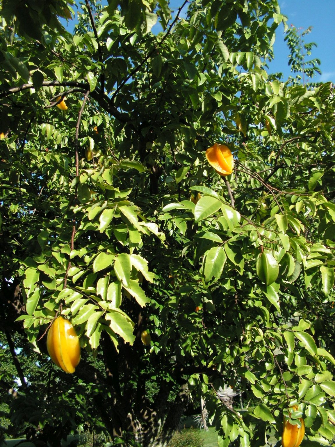 PICT0008.JPG