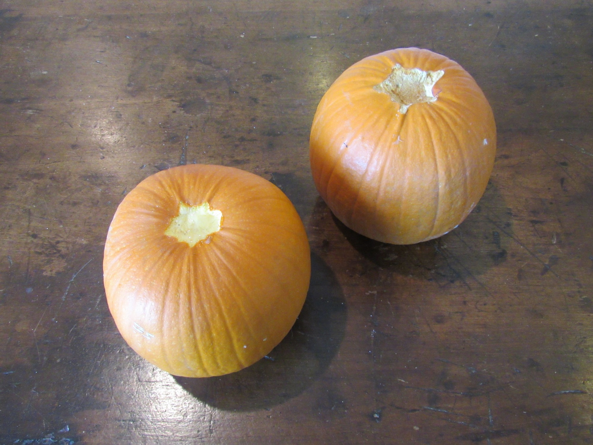 pie pumpkins.jpg