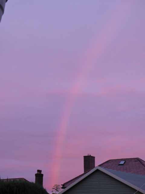 pinkrainbow2.jpg
