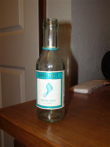 plant starter 001 (Small).JPG