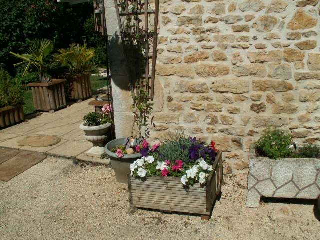 planters abc.JPG