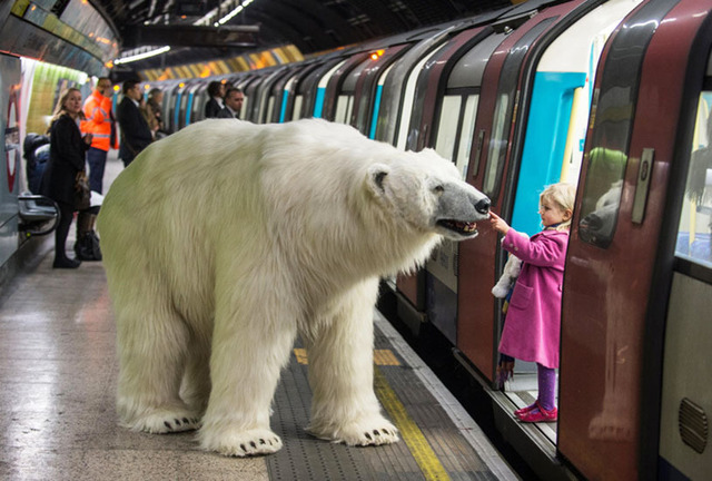 polar bear and train_zpsdplvdvfg.jpg