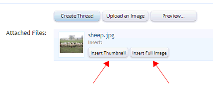 post-image2.gif