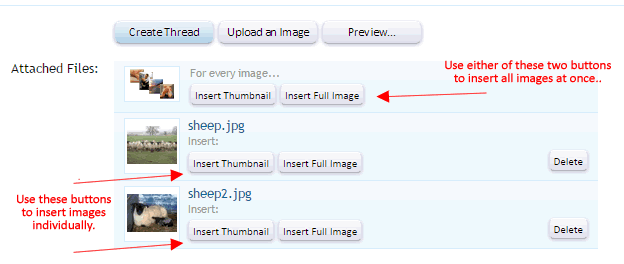 post-image3.gif