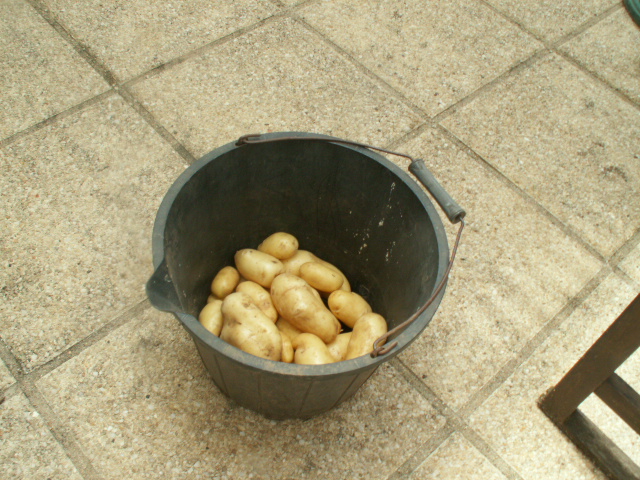 pototoes.JPG