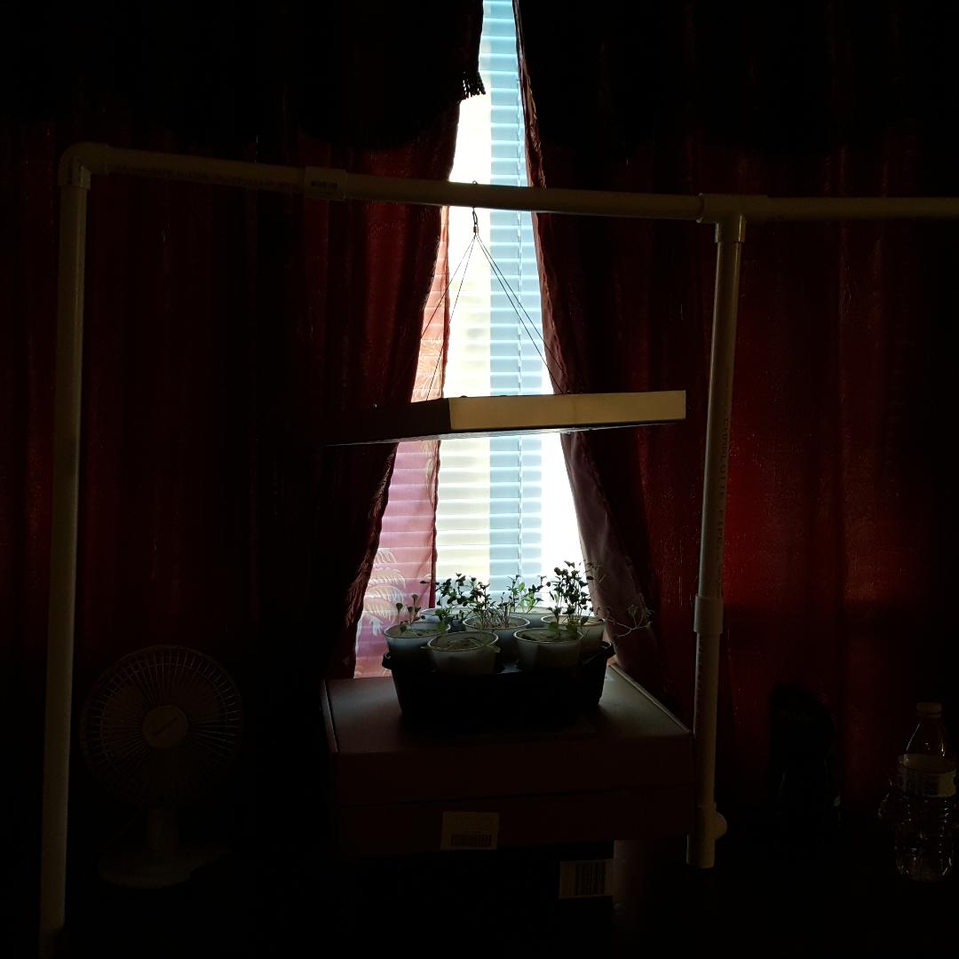 PVC setup.jpg