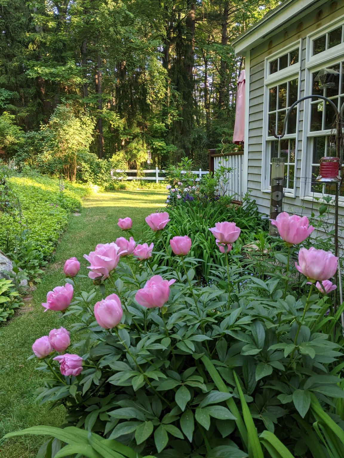 PXL_20210606_105529215.MP_compress22.jpg