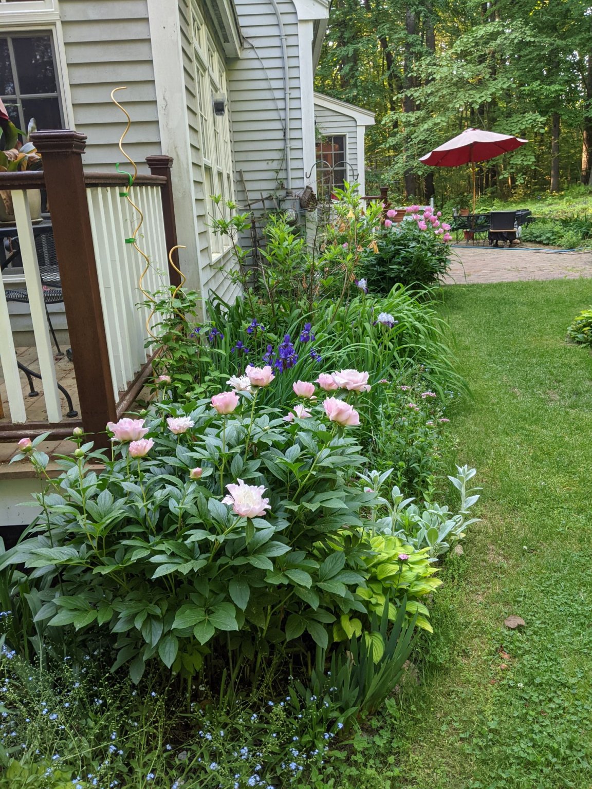 PXL_20210606_105751970.MP_compress41.jpg