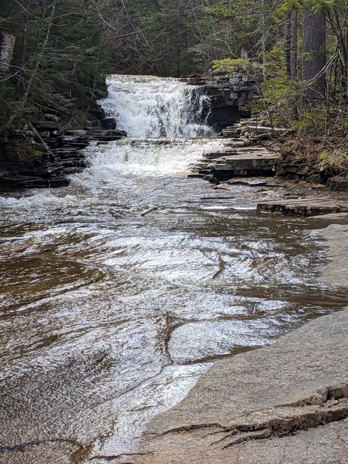 PXL_20220506_174428115.MP_compress28.jpg