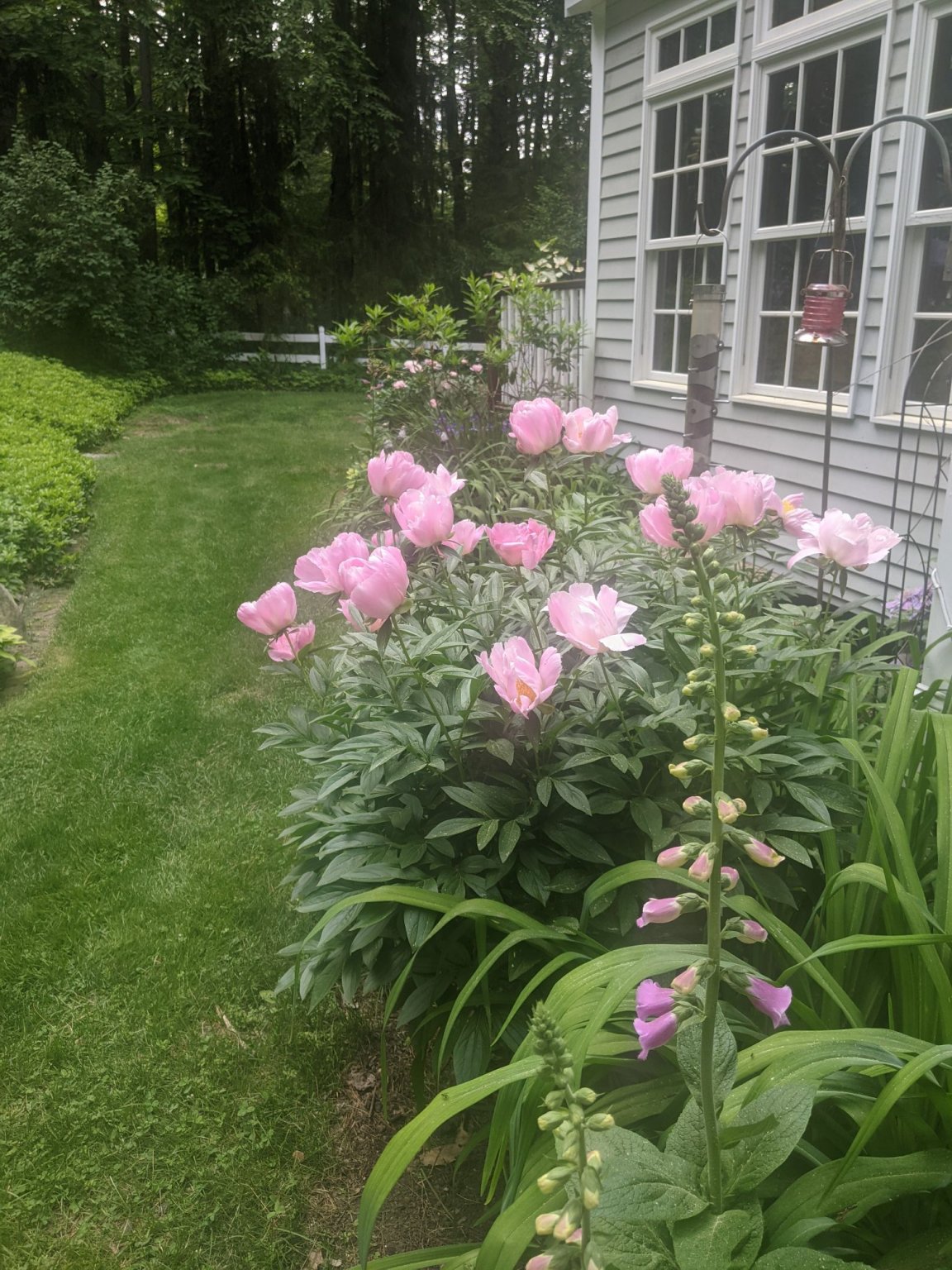 PXL_20220606_204130254.MP_compress95.jpg