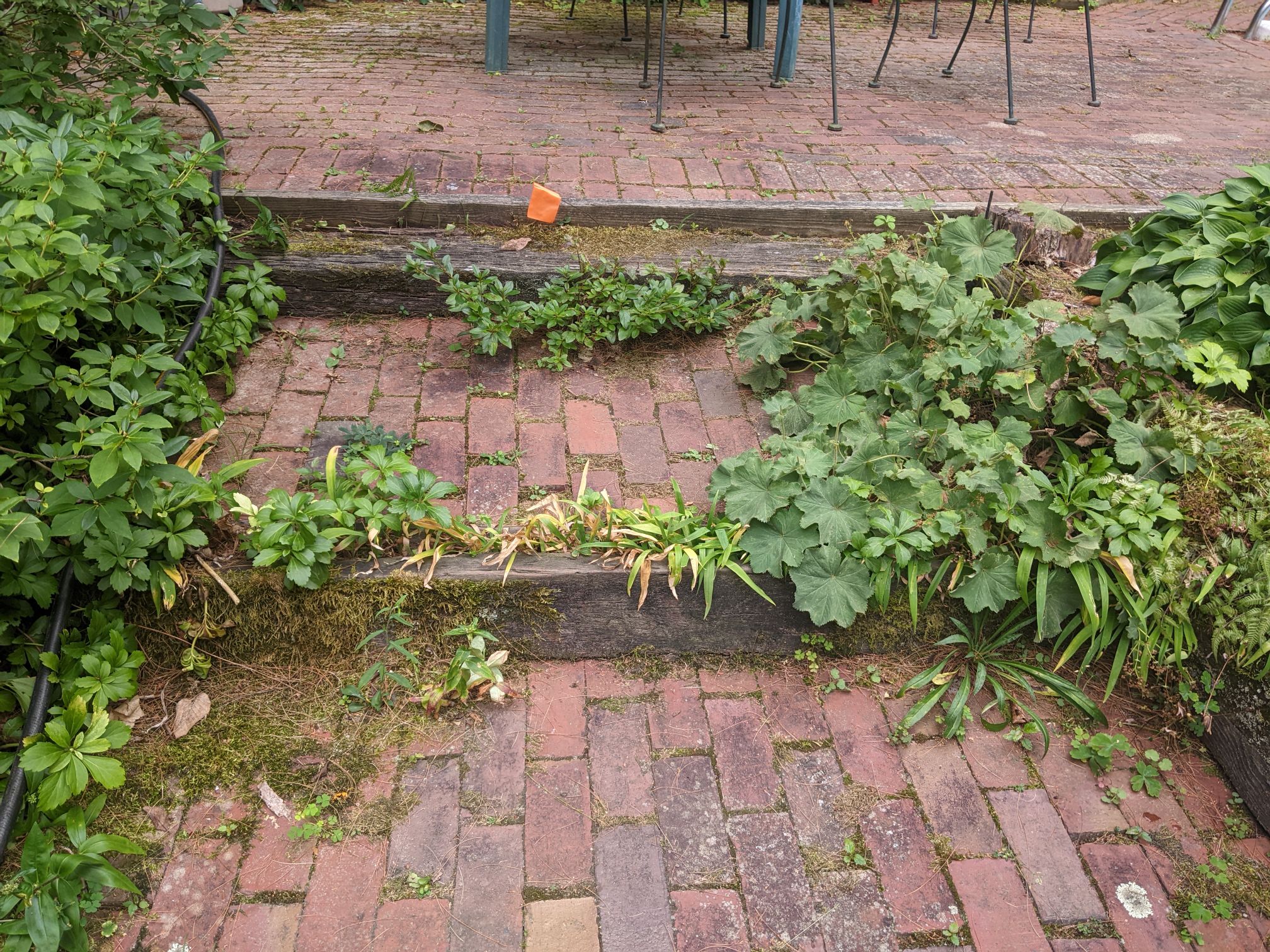 PXL_20220816_220020436.MP_compress4.jpg