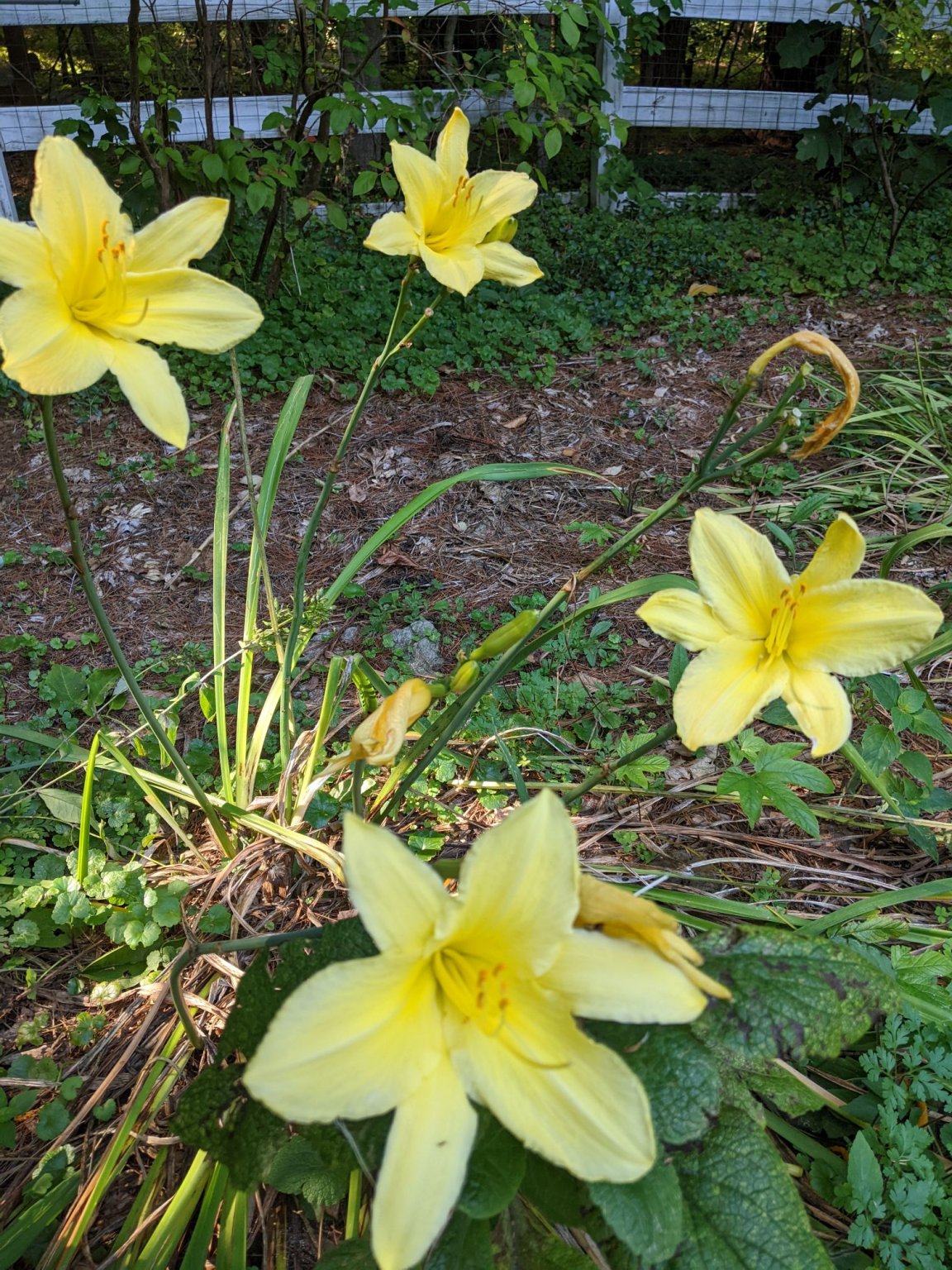 PXL_20220908_191742496.MP_compress71.jpg