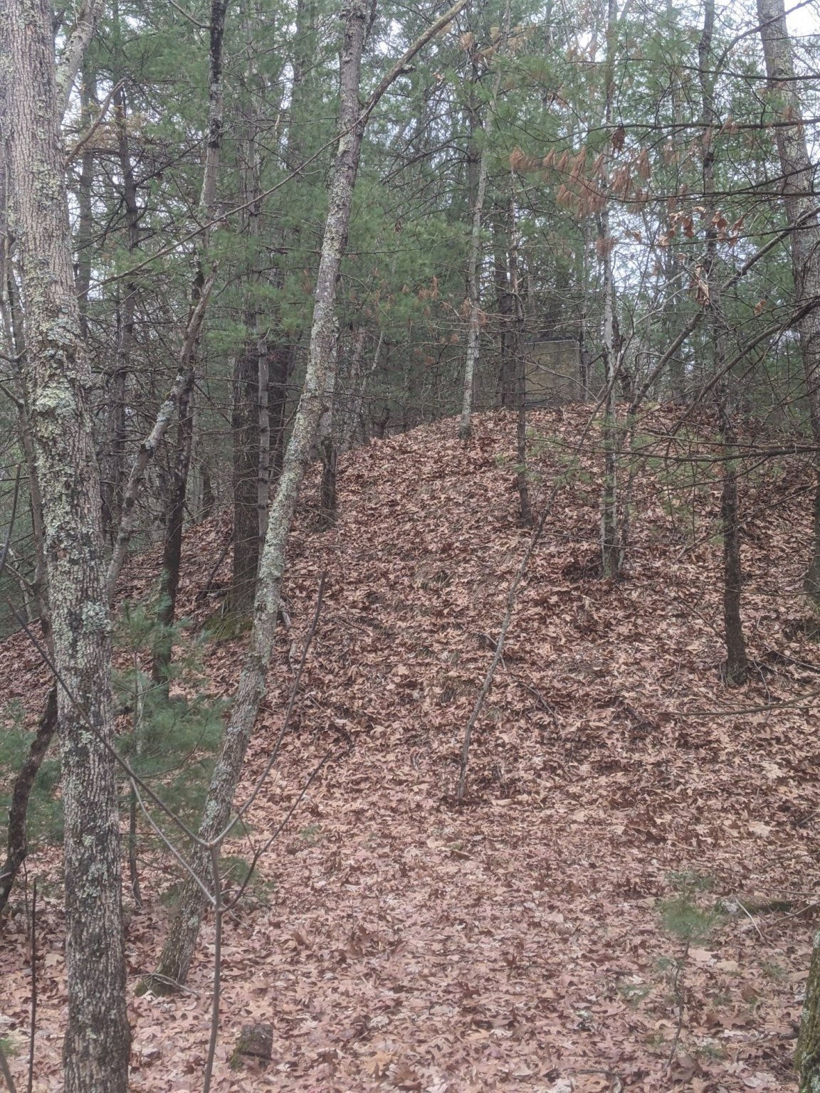 PXL_20221128_181311836.MP_compress83.jpg