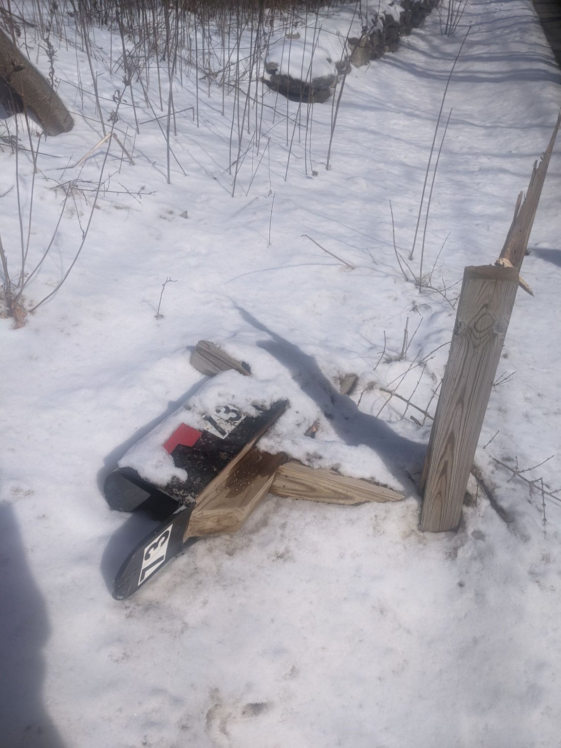 PXL_20230227_154003105.MP_compress62.jpg