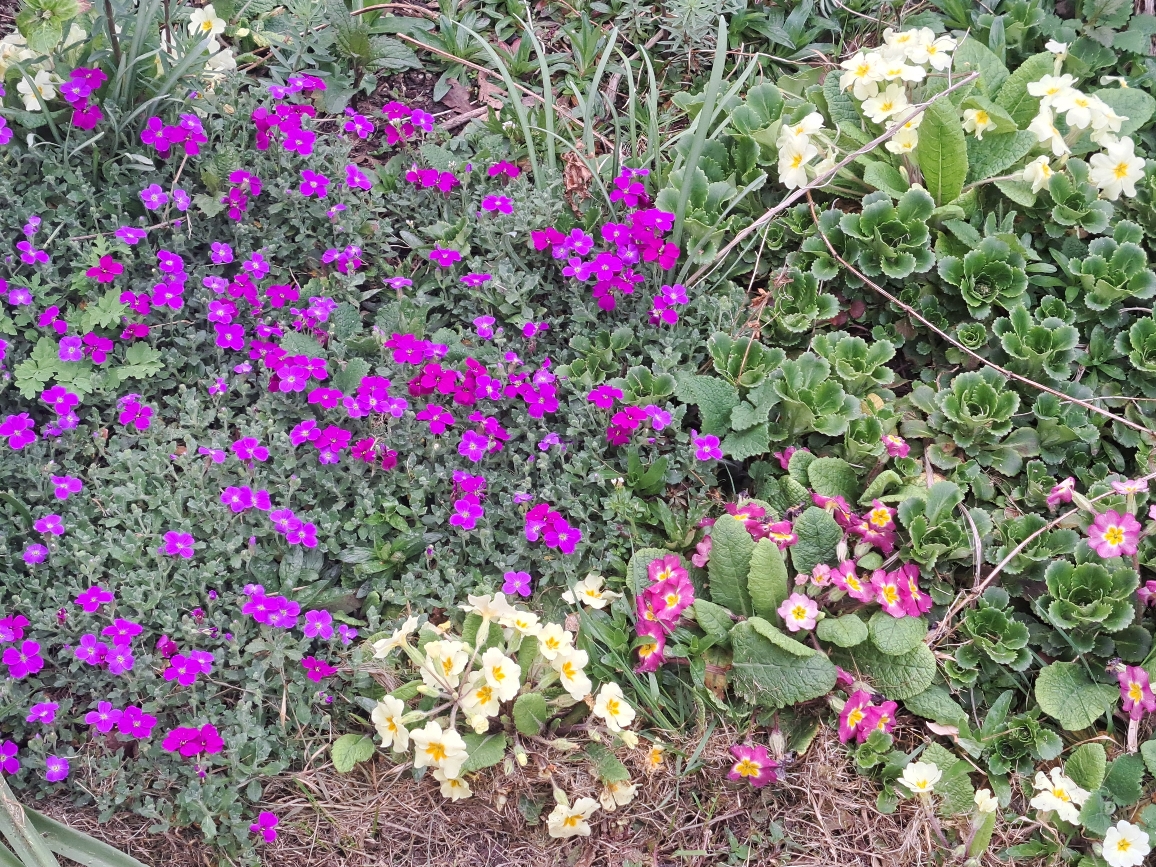 Resize_20250403_165501_1678.jpg
