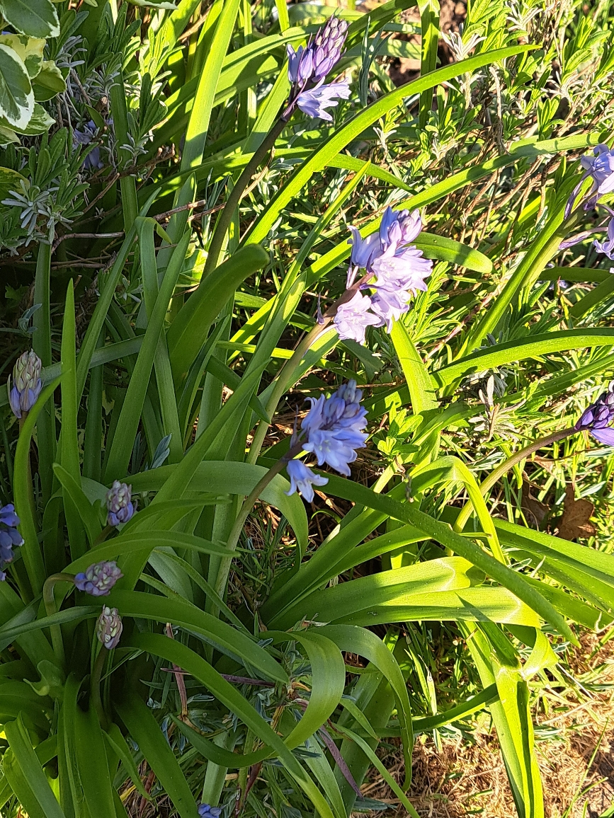 Resize_20250407_181638_8703.jpg